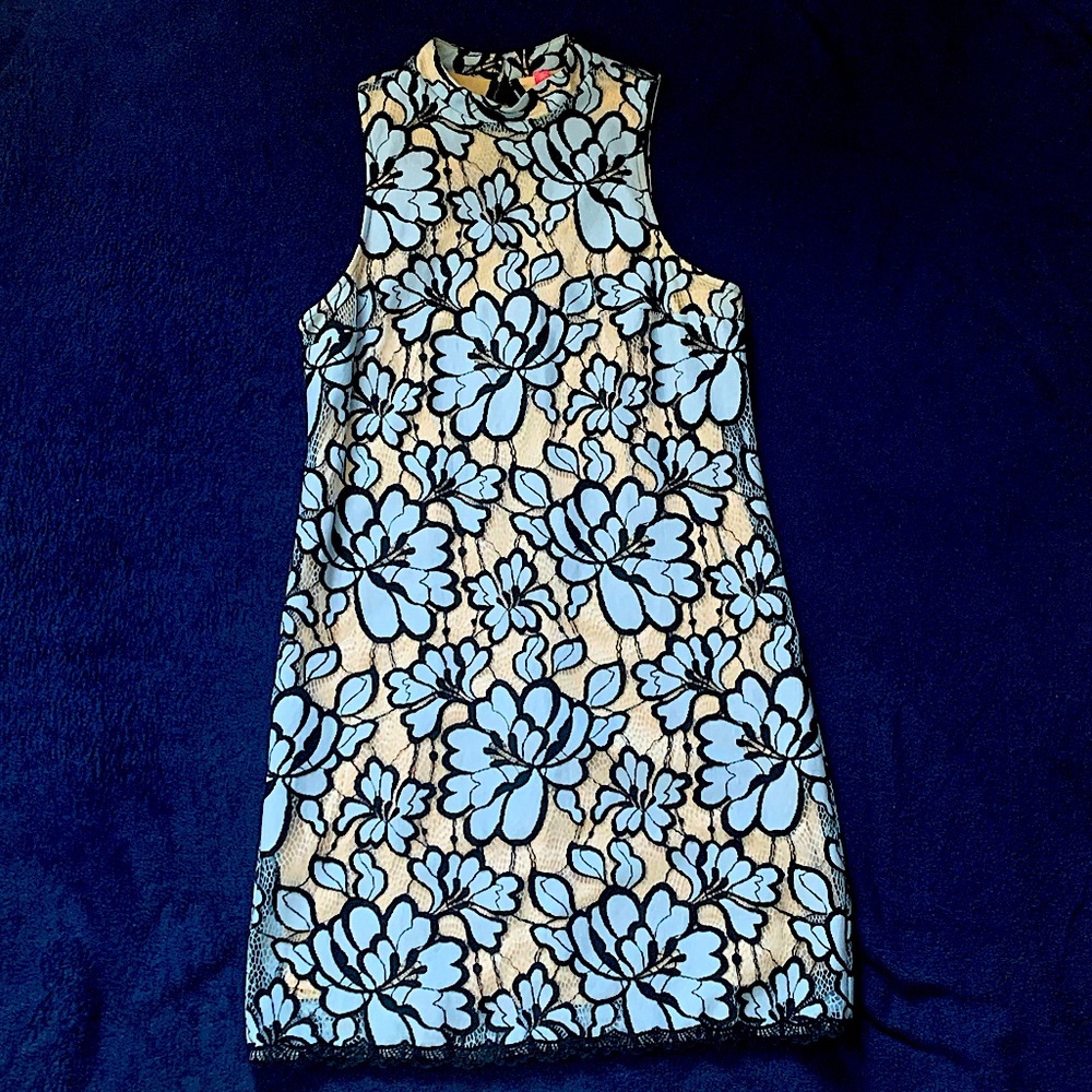Light Blue lace Floral dress (Anthropologie)